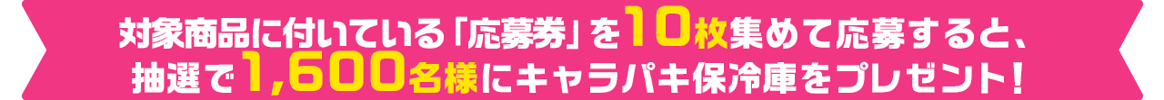 対象商品に付いている｢応募券」を10枚集めて応募すると、抽選で1,600名様にキャラパキ保冷庫をプレゼント！