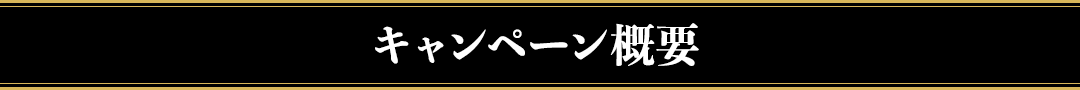 キャンペーン概要