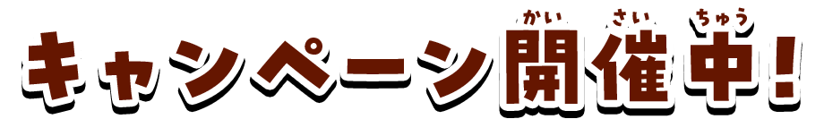 キャンペーン開催中！