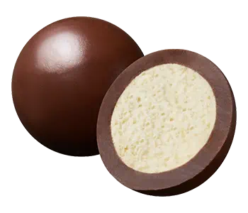 チョコがけビスケット画像