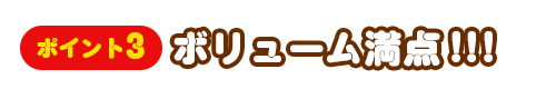 ポイント3ボリューム満点!!!