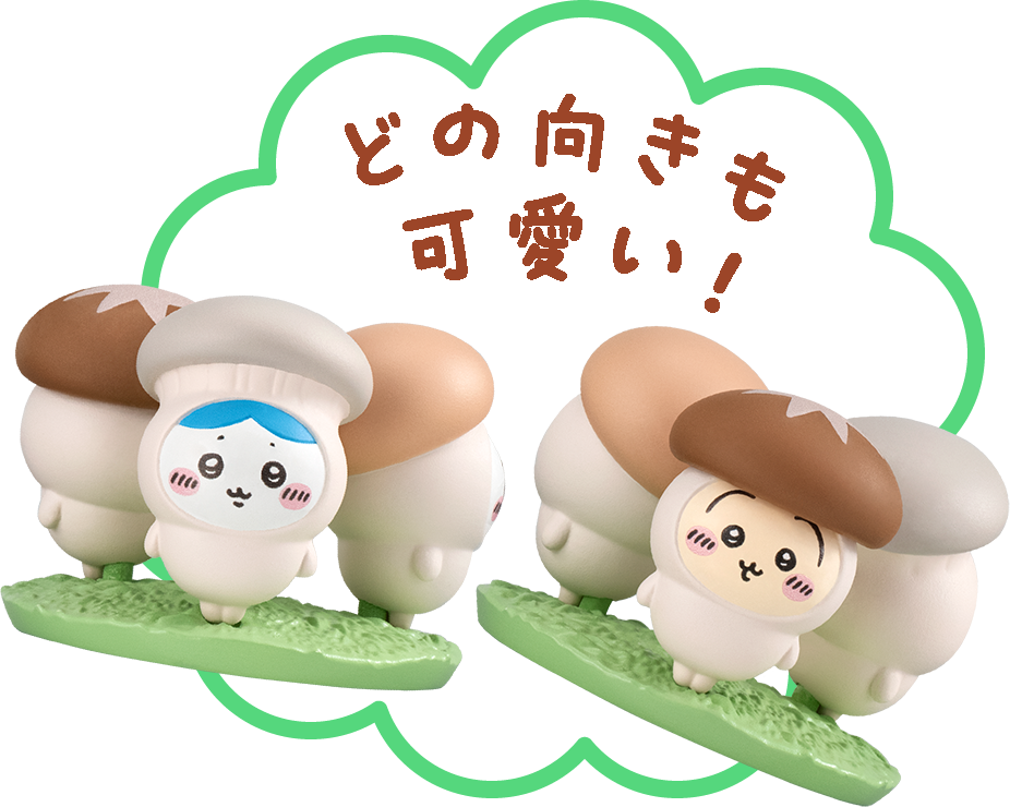 どの向きも可愛い！