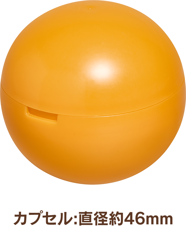 カプセル：直径約46mm