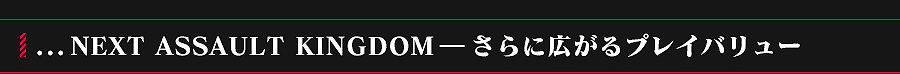 ... NEXT ASSAULT KINGDOM−さらに広がるプレイバリュー