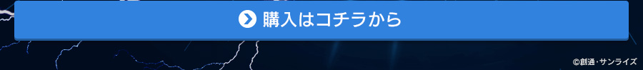 購入はコチラから