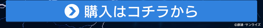 購入はコチラから