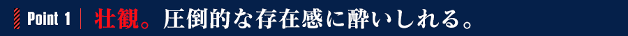 POINT1:壮観。圧倒的な存在感に酔いしれる。