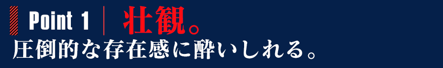 POINT1:壮観。圧倒的な存在感に酔いしれる。