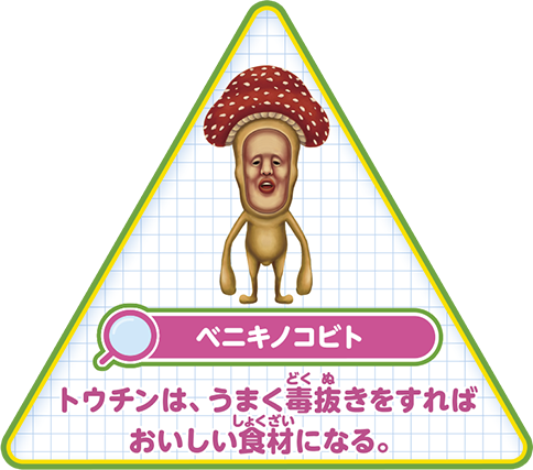 【ベニキノコビト】トウチンは、うまく毒抜きをすればおいしい食材になる。