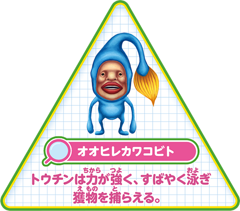 【オオヒレカワコビト】トウチンは力が強く、すばやく泳ぎ獲物を捕らえる。