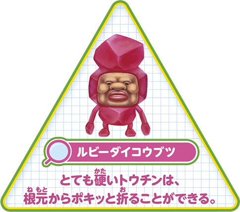 【ルビーダイコウブツ】とても硬いトウチンは、根元からポキッと折ることができる。