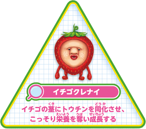 【イチゴクレナイ】イチゴの茎にトウチンを同化させ、こっそり栄養を奪い成長する。
