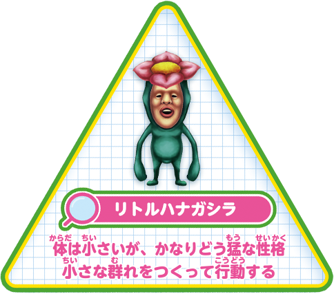【リトルハナガシラ】体は小さいが、かなりどう猛な性格。小さな群れをつくって行動する。