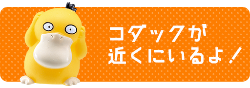 ライチュウが近くにいるよ！