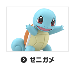 ゼニガメ