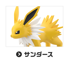 サンダース