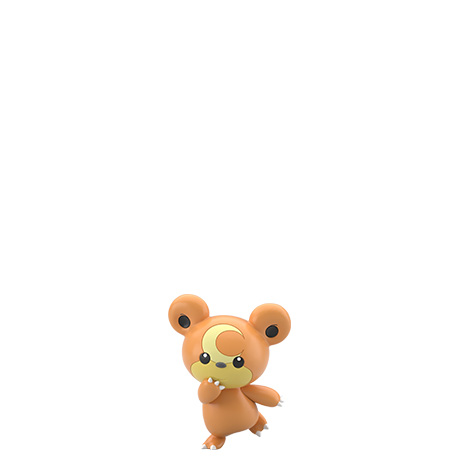 ヒメグマ