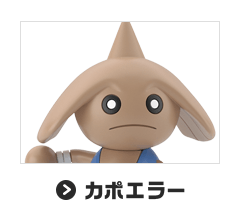 カポエラー