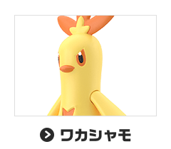ワカシャモ