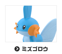ミズゴロウ