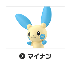 マイナン