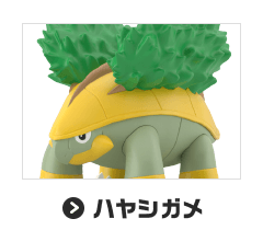 ハヤシガメ
