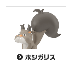 ホシガリス