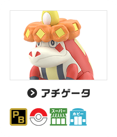 アチゲータ