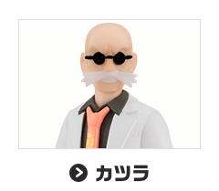 カツラ