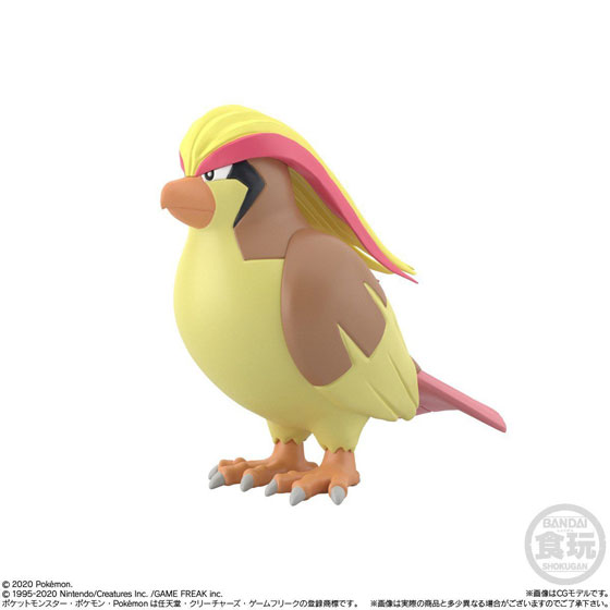 ポケモンスケールワールド カントー地方2 ピジョット