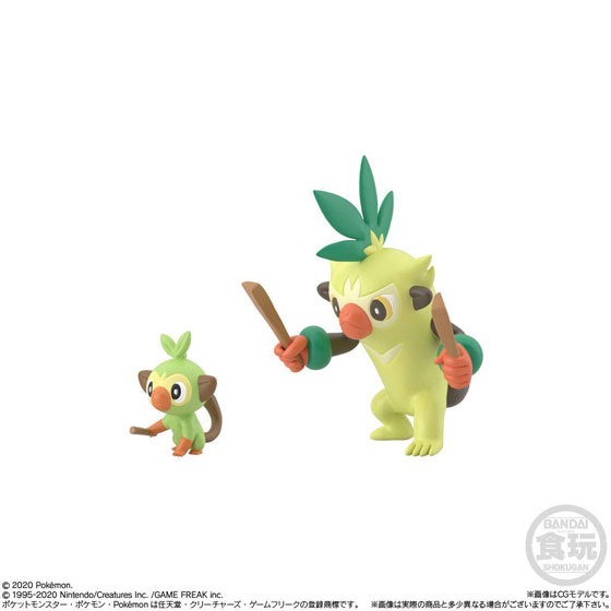 ポケモンスケールワールド ガラル地方 サルノリ＆バチンキー