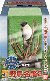 野鳥名鑑２