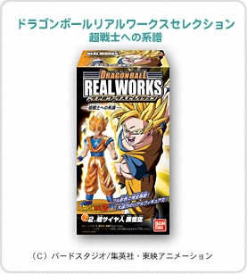 ドラゴンボールリアルワークスセレクション　超戦士への系譜　 パッケージ