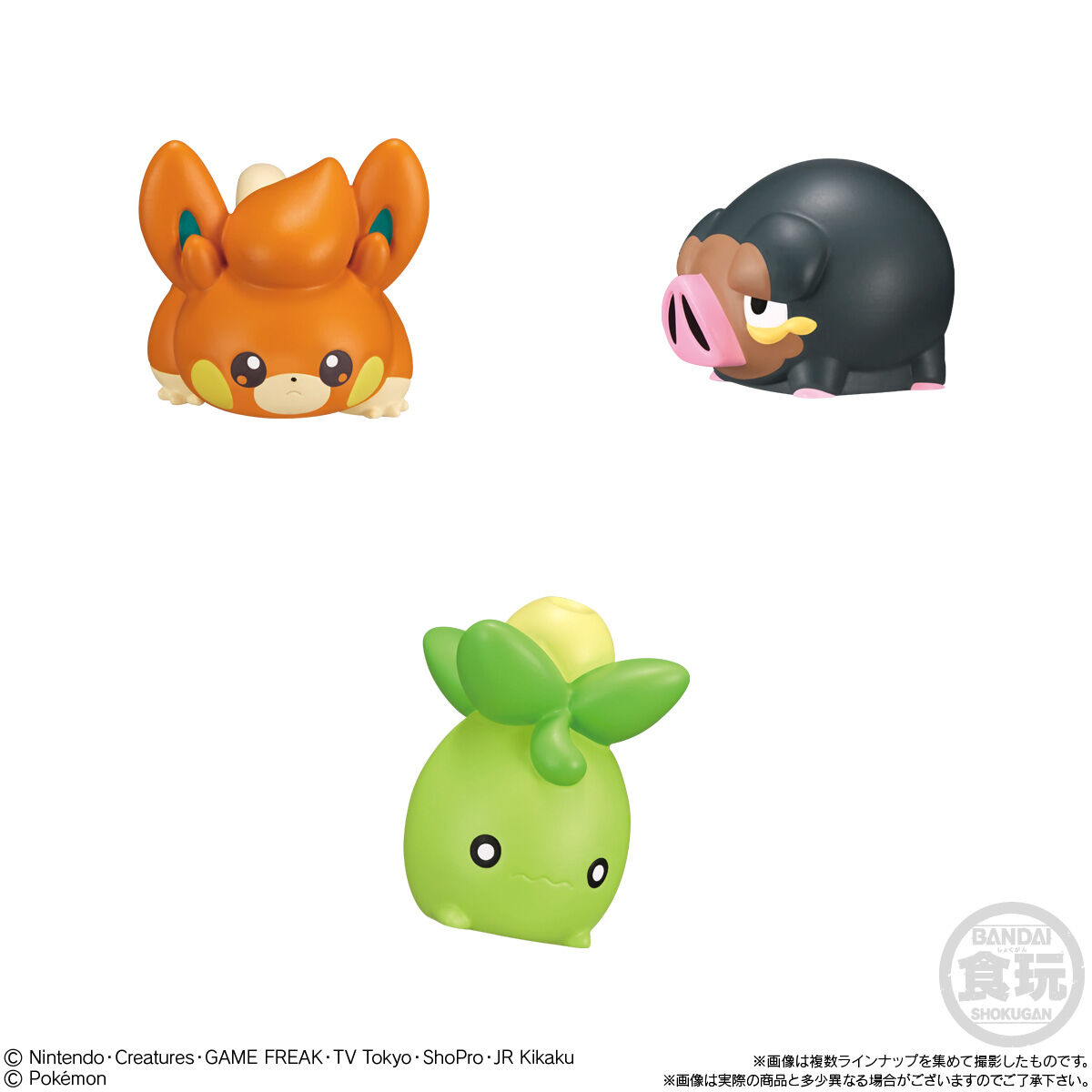 ポケモンキッズ  パルデア地方編　全11種類セット　新品