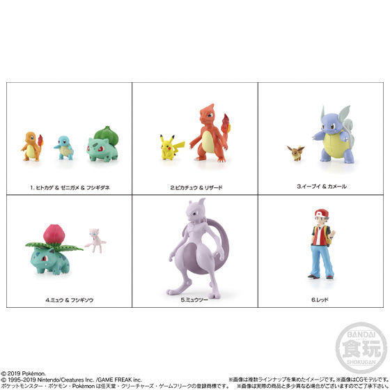人気のダウンロード カメール ポケモン 検索画像の壁紙
