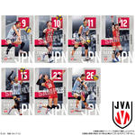 JAPAN NATIONAL VOLLEYBALL TEAM -女子日本代表ver.- ツインウエハース 2026