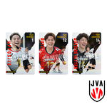 JAPAN NATIONAL VOLLEYBALL TEAM ツインウエハース 2025