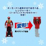 キャラデコクリスマス 海賊戦隊ゴーカイジャー（５号）