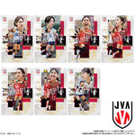 JAPAN NATIONAL VOLLEYBALL TEAM -女子日本代表ver.- ツインウエハース 2026