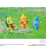 ポケモンキッズ 30周年スペシャルvol.3編