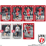 JAPAN NATIONAL VOLLEYBALL TEAM ツインウエハース 2025