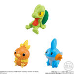 ポケモンキッズ 30周年スペシャルvol.3編