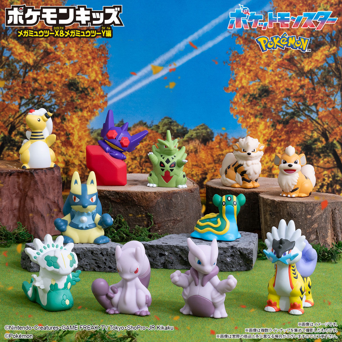 ポケモンキッズ メガミュウツーX&メガミュウツーY編｜発売日