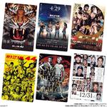 RIZIN ポテトスティック ポスターカードコレクション
