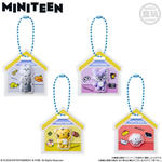 MINITEEN パッケージチャーム&グミ