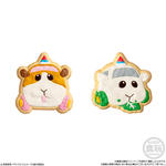 PUI PUI モルカー COOKIE MAGCOT2