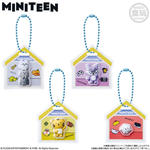 MINITEEN パッケージチャーム&グミ