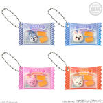 SKZOO シャカっとチャーム＆グミ