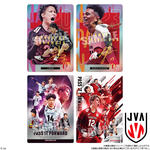 JAPAN NATIONAL VOLLEYBALL TEAM ツインウエハース