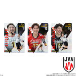 JAPAN NATIONAL VOLLEYBALL TEAM ツインウエハース 2025